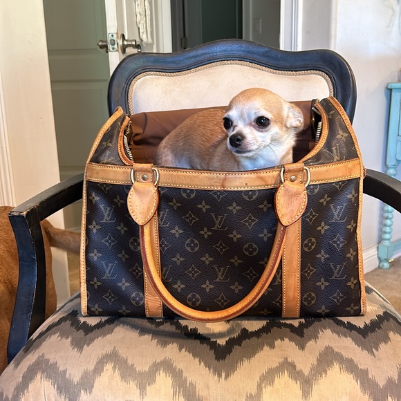 Louis Vuitton | Dog Carrier 40 - Picture 5 of 8